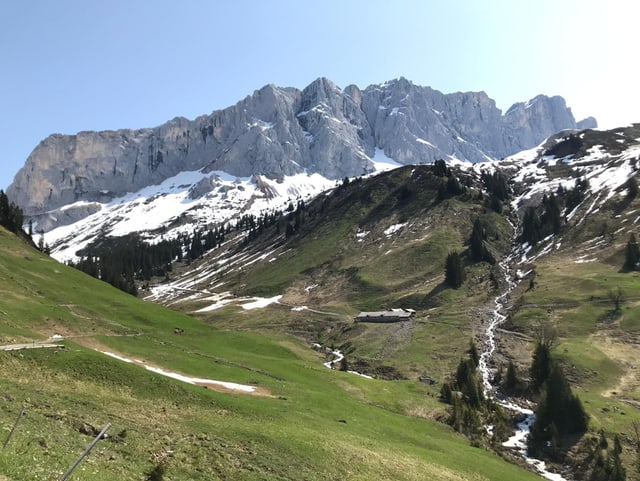 Grüscher Älpli Grüscher Älpli