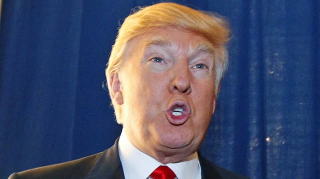 Porträt Trump Porträt Trump