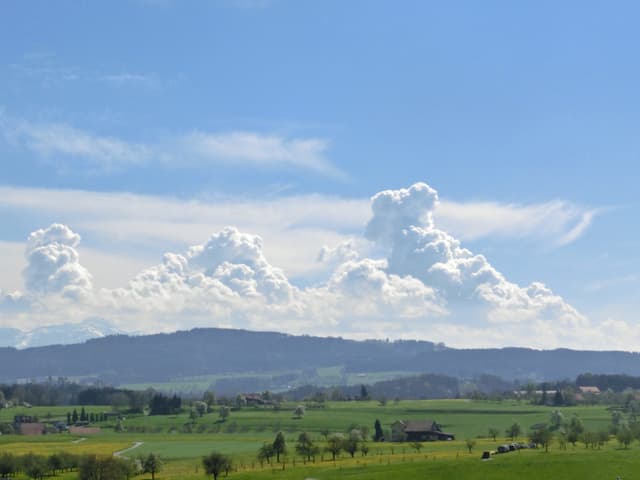 Grüne Wiesen, Wäler. Im Hintergrund grosse Blumenkohlwolken am blauen Himmel. Grüne Wiesen, Wäler. Im Hintergrund grosse Blumenkohlwolken am blauen Himmel.