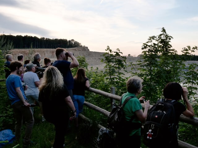 Personen mit Feldstecher schauen in einen Steinbruch. Personen mit Feldstecher schauen in einen Steinbruch.