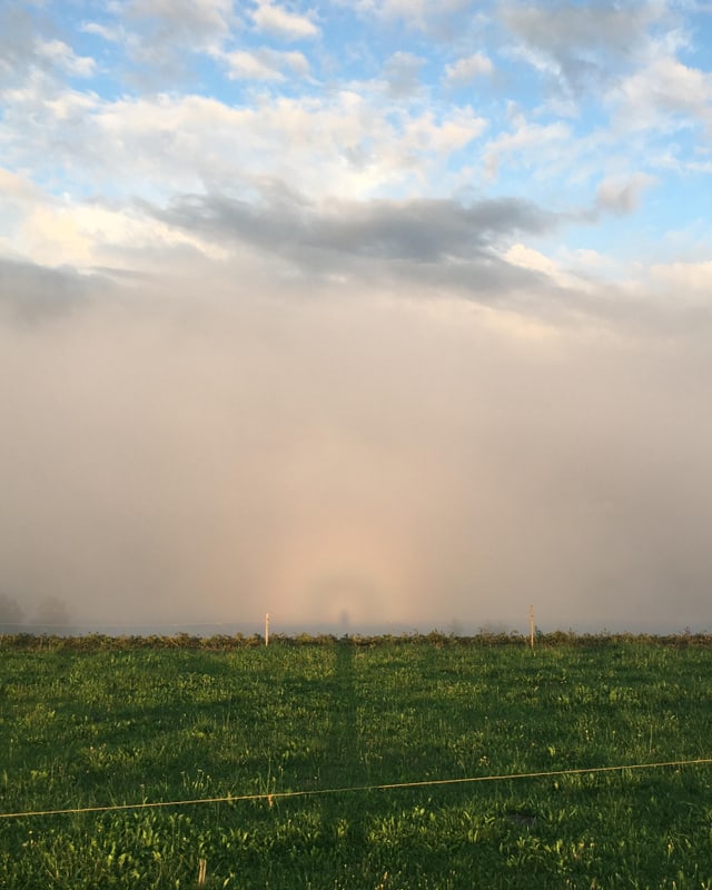 Schattenwurf auf den Nebel.