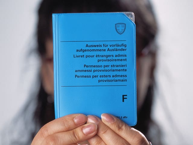 Ausländerausweis F Ausländerausweis F