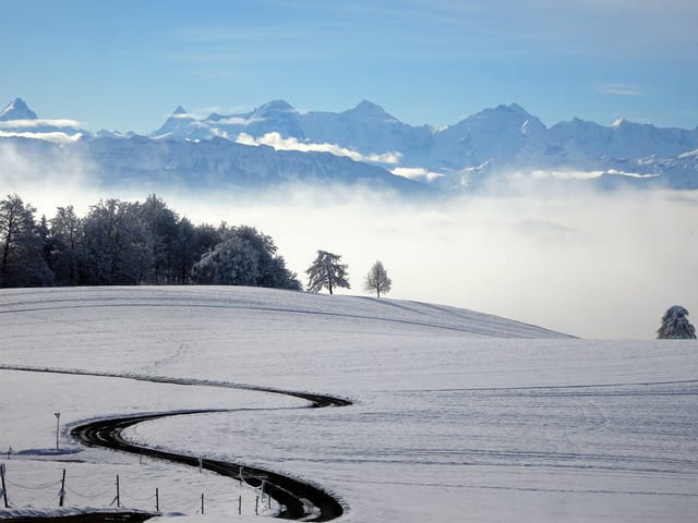 Winterliche Verhältnisse am Gurten bei Bern. In Bern gab es innerhalb von 24 Stunden mindestens 4cm Neuschnee.