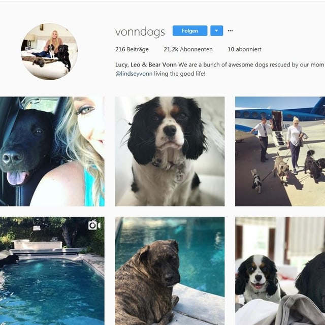 Die Hunde sind los! Die Hunde sind los!