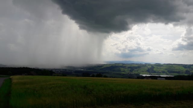Schauerzelle mit Regenvorhang bei Hochdorf. Schauerzelle mit Regenvorhang bei Hochdorf.