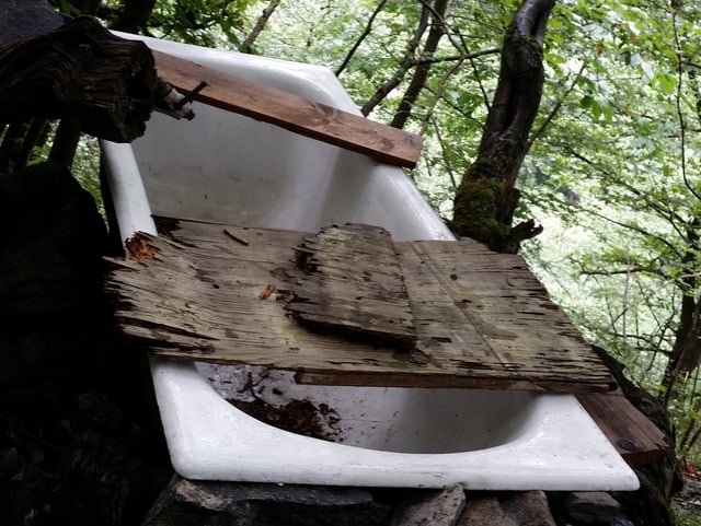 Eine weisse Badewann steht mitten im Wald.