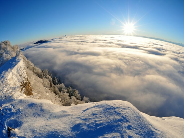 Ein Foto mit einem Fischaugeobjektiv. Im Mittelland liegt ein Nebelmeer. Die Sonne steht tief über dem Horizont bei wolkenlosem Himmel.