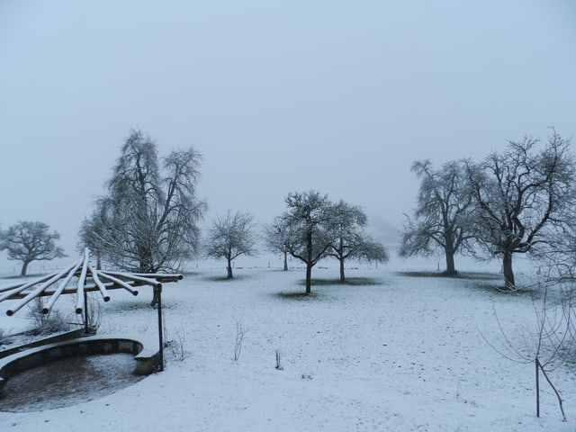 Der Winter verirrte sich bis in tiefe Lagen, so beispielsweise nach Niederhelfenschwil.