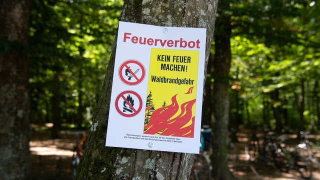 Plakat mit Feuerverbot Plakat mit Feuerverbot