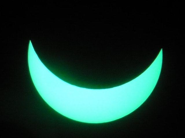 Sonnensichel in grün