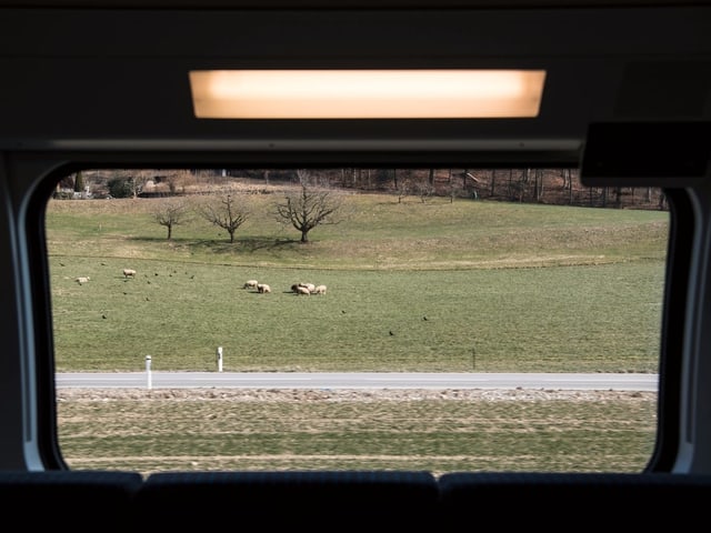 Blick aus dem FV-Dosto Blick aus dem FV-Dosto