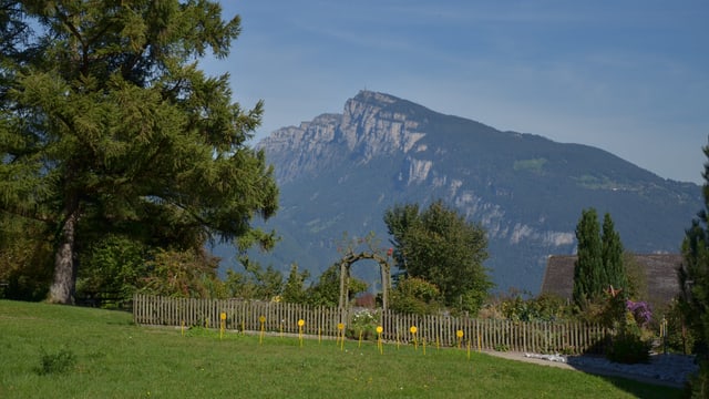 Blick auf das Niederhorn Blick auf das Niederhorn