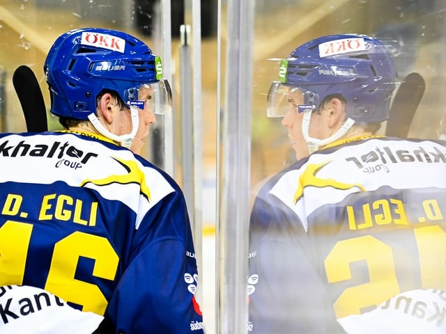 Dominik Egli