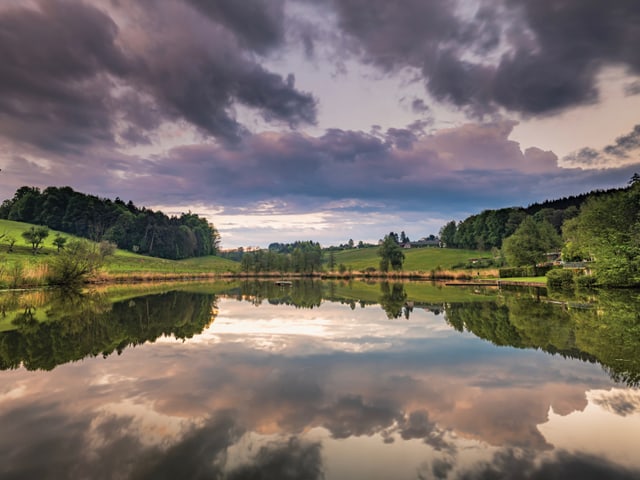 Wolken spiegeln sich im Teich.