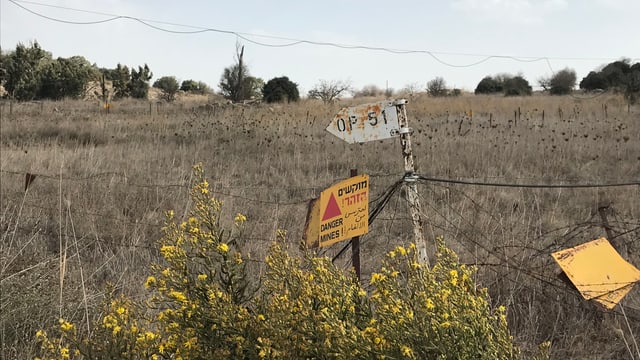 Verdorrte Wiese, darauf gelbe Schilder mit Warnungen. Verdorrte Wiese, darauf gelbe Schilder mit Warnungen.