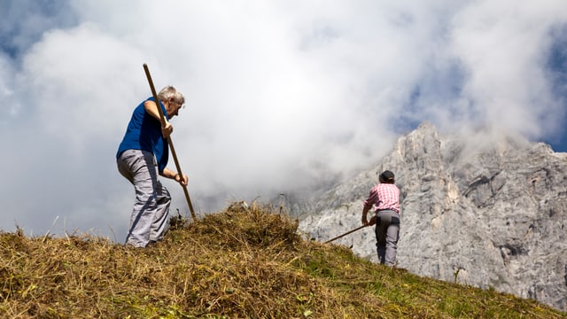 Freiwillige Helfer auf der Alp