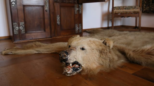 Das Bärenfell des letzten im Schloss wohnhaften Barons. Das Bärenfell des letzten im Schloss wohnhaften Barons.