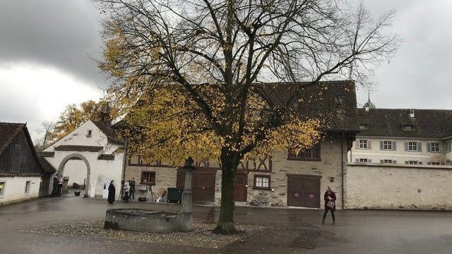 Riegelhaus Riegelhaus