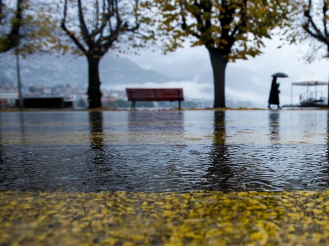 Der Lago Maggiore überflutete die Uferzone, eine Frau stapft durch das Wasser Der Lago Maggiore überflutete die Uferzone, eine Frau stapft durch das Wasser