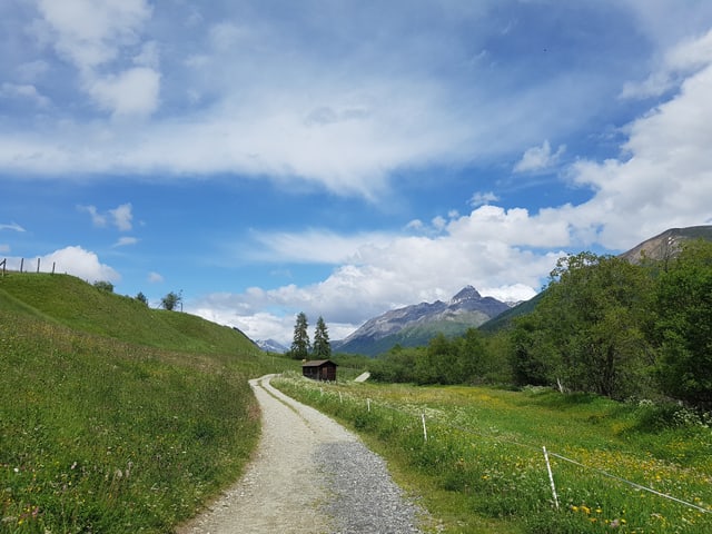 Ein Schotterweg führt durch die Landschaft bei Zuoz, neben dem Weg, frische Almmatten, ein Weidezaun verläuft parallel zum Weg.