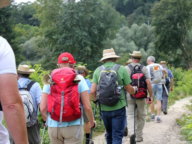 Wandergruppe auf dem Feldweg. Wandergruppe auf dem Feldweg.