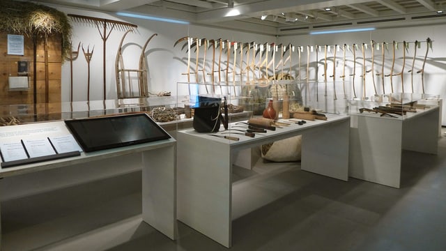 Eine Innenansicht der Ausstellung. Eine Innenansicht der Ausstellung.