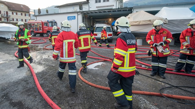 Feuerwehrleute mit langen Wasserschläuchen im Einsatz. Feuerwehrleute mit langen Wasserschläuchen im Einsatz.