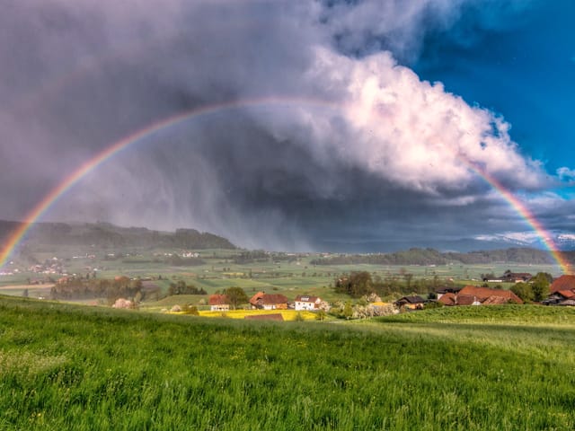 Grüne Wiese mit grossem Regenbogen über das ganze Bild. Rechts sonnig, links Gewitterregen.