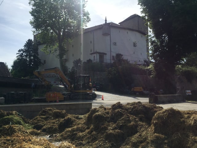 Miststock und Schloss