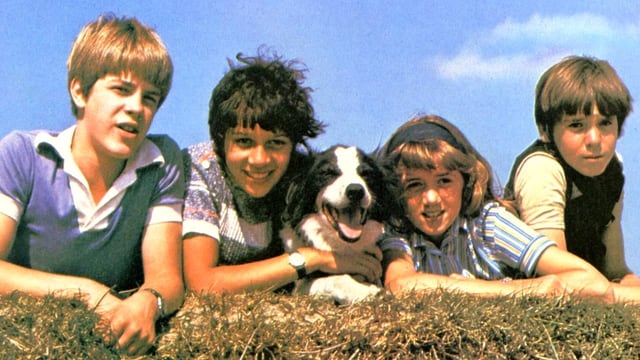 4 Kinder und in der Mitte ein Hund. 4 Kinder und in der Mitte ein Hund.