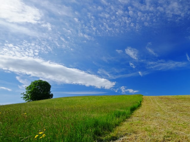 Blauer Himmel mit wenigen Wolken, unten grüne Wiese, zum Teil geschnitten.