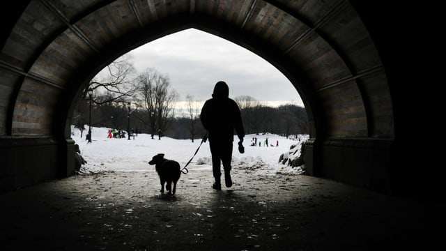 Mann mit Hund spaziert New York Mann mit Hund spaziert New York