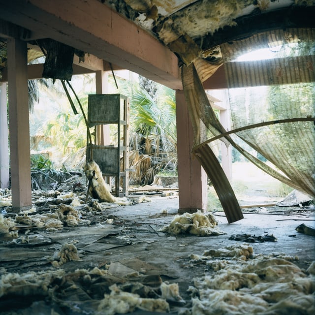 Ein verfallender Speisesaal aus dem die Glaswolle aus der Deckenverkleidung herunterhängt. Ein verfallender Speisesaal aus dem die Glaswolle aus der Deckenverkleidung herunterhängt.
