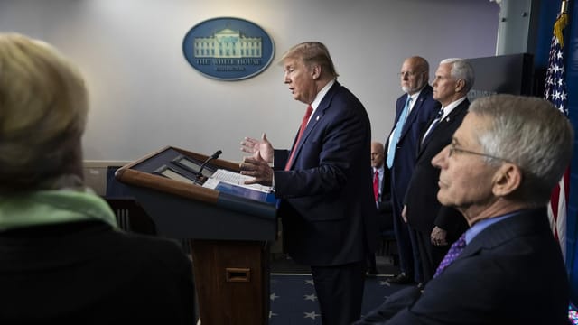 Trump. Trump.