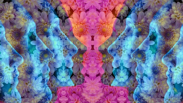 Menschliche Köpfe im Profil, mit Blumenmuster verziehrt. Menschliche Köpfe im Profil, mit Blumenmuster verziehrt.