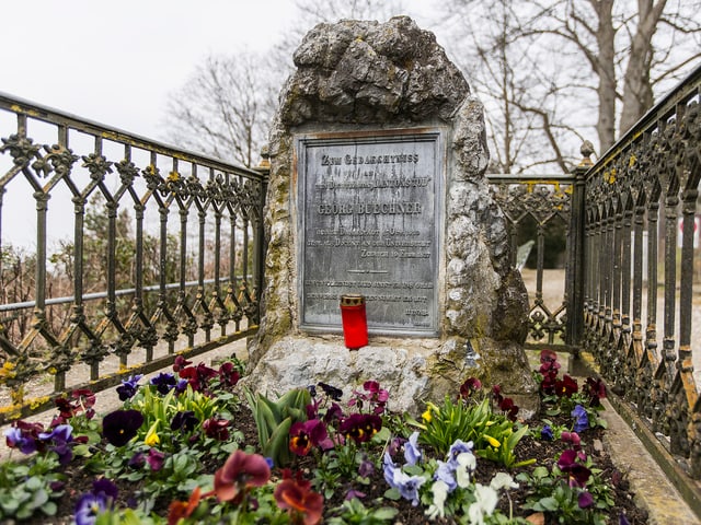 Grabstätte von Georg Buechner auf dem Germaniahügel in Zürich. Das Grab ist eingezäunt.