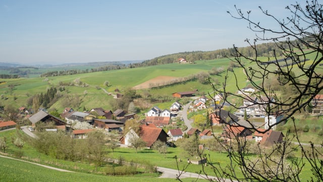 Elfingen Elfingen