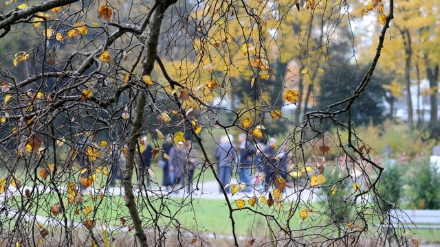 Auf dem Friedhof Auf dem Friedhof