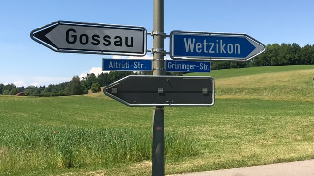 Ein Wegweiser zeigt nach Gossau, einer nach Wetzikon. Ein Wegweiser zeigt nach Gossau, einer nach Wetzikon.