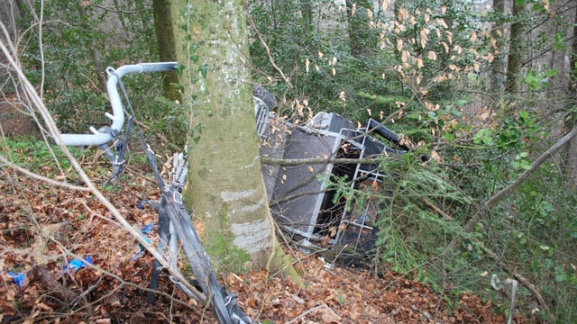 Wald und eine gekippte Kutsche Wald und eine gekippte Kutsche