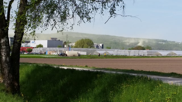 Pollensturm über dem Glatttal. Pollensturm über dem Glatttal.