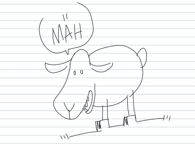 Schaf Schaf
