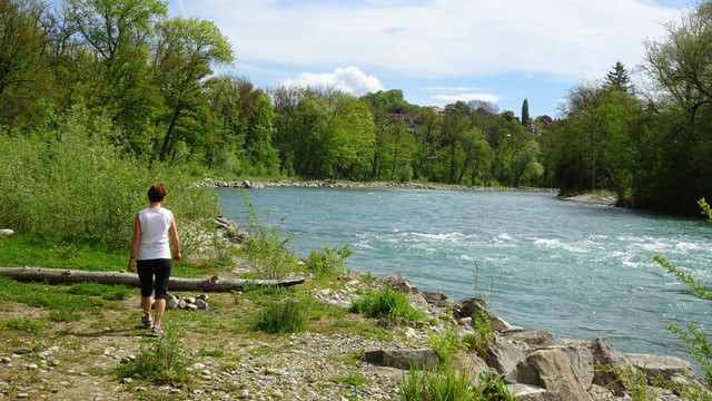Wanderin bei Belp am Aareufer Wanderin bei Belp am Aareufer