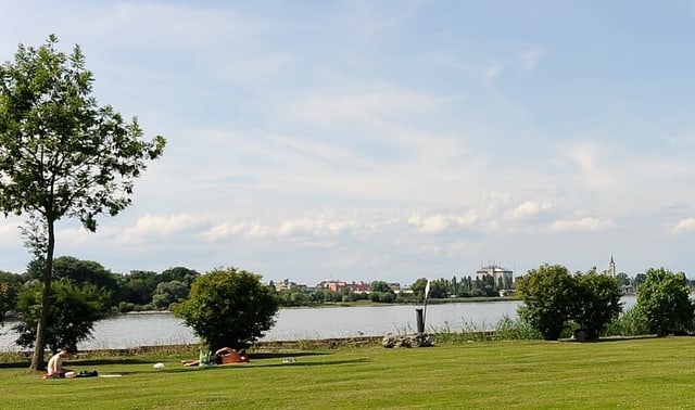 Grasfläche am Seeufer des Bodensees. Grasfläche am Seeufer des Bodensees.