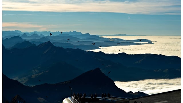Bild vom Säntis auf die apere Umgebung Bild vom Säntis auf die apere Umgebung