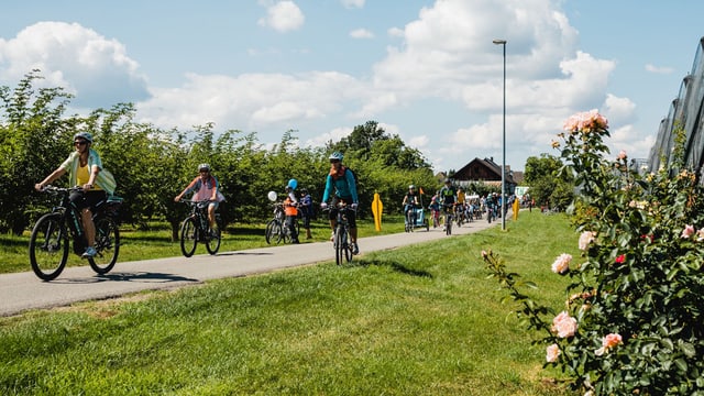 Velofahrer auf Weg Velofahrer auf Weg