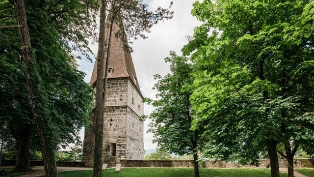 Ein Turm neben mehreren Bäumen Ein Turm neben mehreren Bäumen