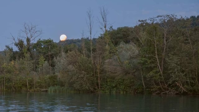 Der Wohlensee in der Dämmerung mit Mond. Der Wohlensee in der Dämmerung mit Mond.