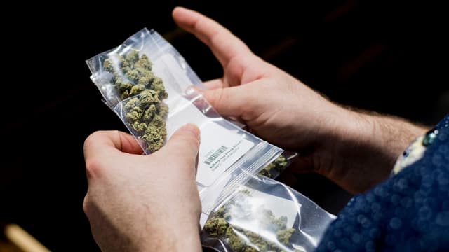 Cannabis in einem Plastikbeutel. Cannabis in einem Plastikbeutel.