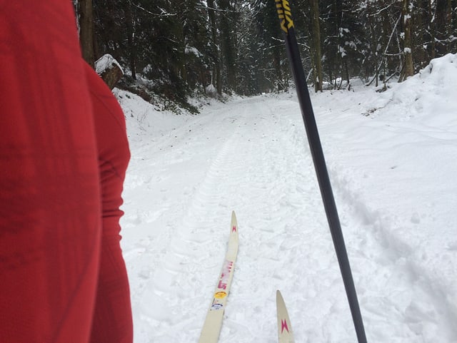 Ein Waldweg und ein Langläufer. Ein Waldweg und ein Langläufer.